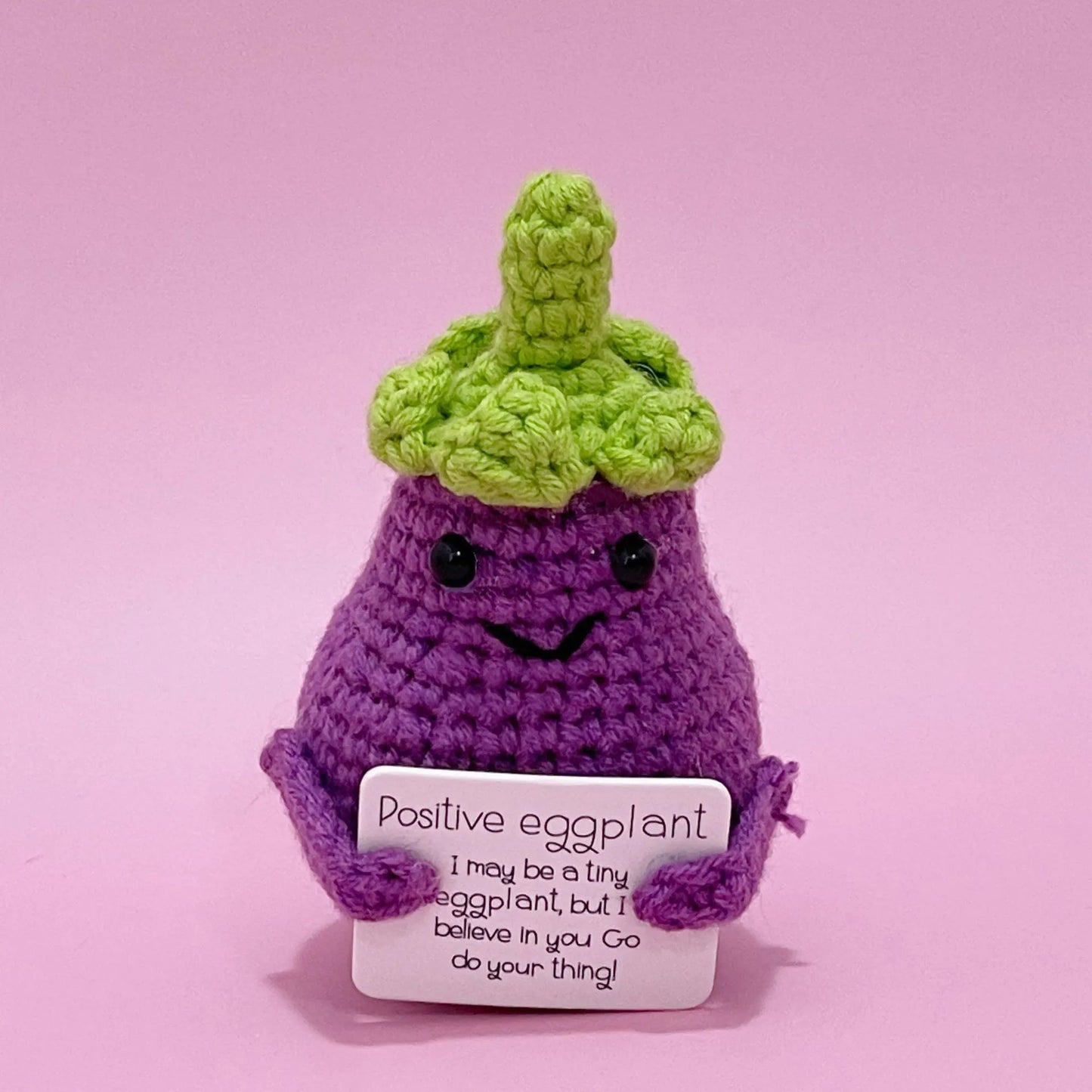 🎁Handmade Emotional Support Plant Gift